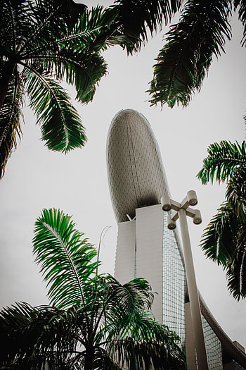Architecture, Palms, Building, Miscellanea, Miscellaneous HD phone wallpaper