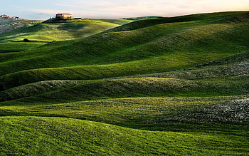 Tuscany's allure, Green hills paradise, Nature's embrace, Beautiful HD wallpaper