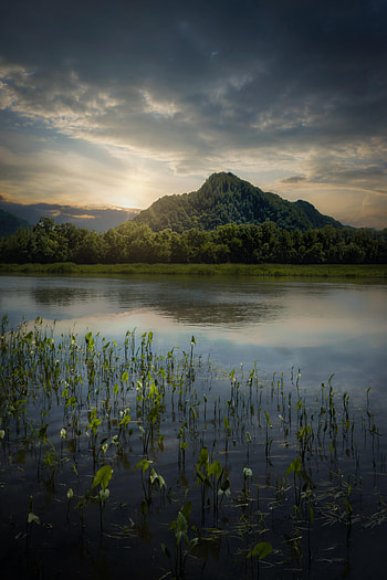 Nature, Trees, Sky, Mountain, Lake, Reflection HD phone wallpaper