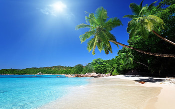 Nature, Beach, Sand, Palms, Tropics HD wallpaper