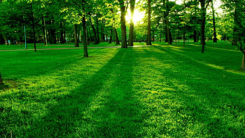 Landscape, Nature HD wallpaper