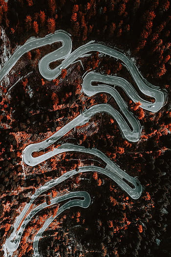 Aerial shot of winding road through autumn forest in Maloja, Switzerland. HD phone wallpaper