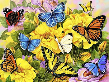 butterflies of yellow flowers, butterflies, flowers, plants, yellow HD wallpaper