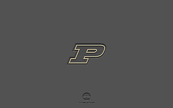 Purdue Boilermakers, gray background, American football team, Purdue Boilermakers emblem, NCAA, Indiana, USA, American football, Purdue Boilermakers logo HD wallpaper