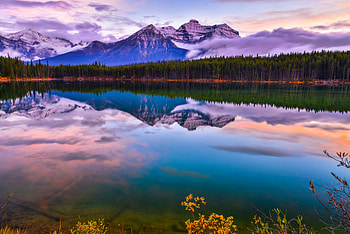 Trees Lake Reflection , trees, lake, reflection, nature HD wallpaper