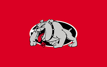 Georgia Bulldogs university team, , PC, Full HD wallpaper