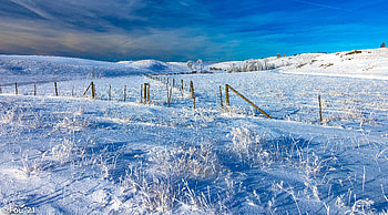 Winter, Nature, Snow, Field, Hills, Fence HD wallpaper