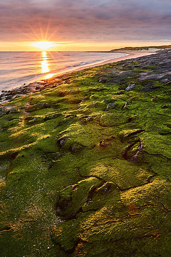 Nature, Sea, Sun, Beach, Shore, Bank, Rays, Beams HD phone wallpaper