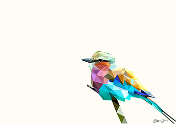 Bird Rainbow Polyart, bird, polyart, rainbow, artist, digital-art HD wallpaper