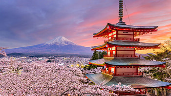 Chureito Pagoda, Tokyo HD wallpaper