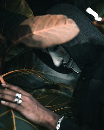 Leaves, Plant, Miscellanea, Miscellaneous, Mask, Anonymous, Hood HD phone wallpaper