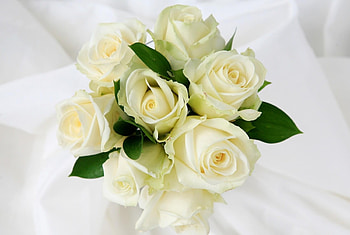 Flowers, Roses, Bouquet, Tenderness HD wallpaper