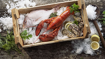 Seafood, tray, mussels, fish, ice, lobster HD wallpaper