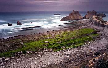 Nature, Grass, Rocks, Shore, Bank, Ocean, Greens, Mainly Cloudy, Overcast HD wallpaper