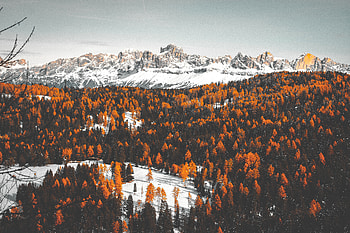 Winter, Nature, Trees, Mountains, Snow HD wallpaper