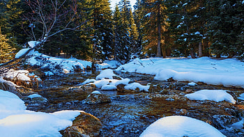 Forest Stream, rocks, stones, winter, river, snow, trees HD wallpaper
