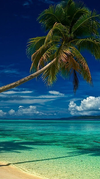 Nature graphy , Beach landscape, Serene beauty, Tranquil nature HD phone wallpaper