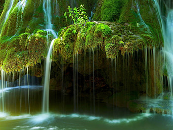 Water Flows Over Moss Covered Rocks, moss, waterfall, nature, water, rocks HD wallpaper