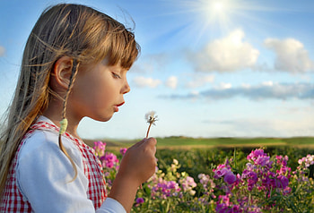 Blowing Kisses, sunlight, dandelion, cute, girl, kisses, blowing, clouds, nature, flowers, sky, child HD wallpaper