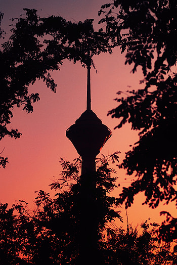 Twilight, Building, Dark, Branches, Dusk, Tower HD phone wallpaper