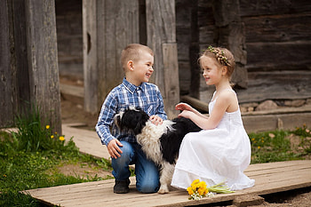 dog, girl, graphy, boy HD wallpaper