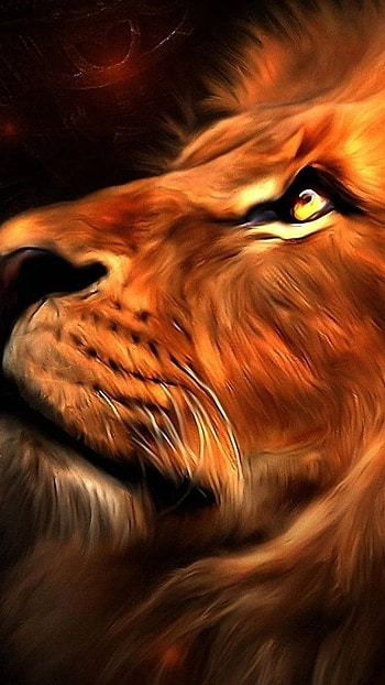 Fire Lion, Lion, Creative Art HD phone wallpaper