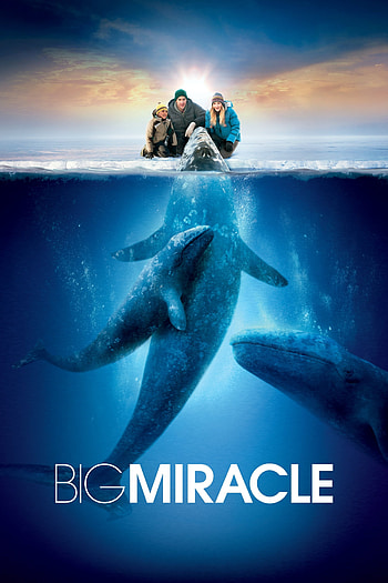 Big Miracle movie, Watch online, Plex, Movies HD phone wallpaper