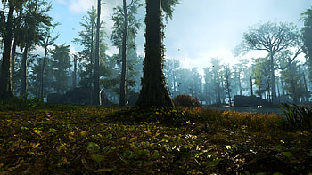 Beauty of nature in video game ghost recon breakpoint, Tom Clancy's Ghost Recon Breakpoint, nature, tree, plant, forest HD wallpaper