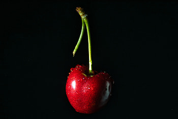 Food, Cherry, Drops, Berry HD wallpaper