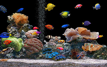 Google Screensavers And - Cave HD wallpaper