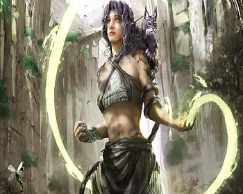 Casting A Spell, spell, magic, dragonfly, cat, witch HD wallpaper