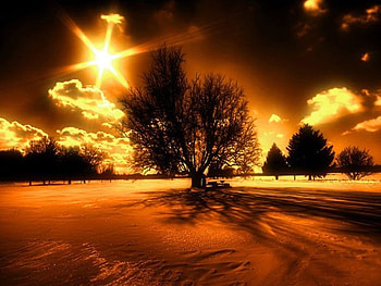nature-is-beautiful-inspiring, amazing view, clouds, colours, sun, dark sky, sunset, evening, tree HD wallpaper