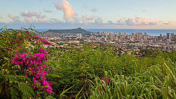 Makiki Lower Punchbowl Tantalus, Hawaiian vacation rental, Nature retreat, Serene atmosphere HD wallpaper