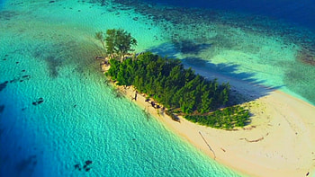 New Georgia Group, Solomon Islands, island, coral reef, turquoise waters, beautiful, palm trees, ocean, beach HD wallpaper