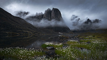 Some Clearing mist in the Canadian north, Tombstone Range, Yukon, mist, peaks, landscape, trees, clouds, sky, canada, iver, flowers HD wallpaper