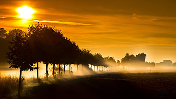 Sunbeam Fog Sunset, sunbeam, sunset, nature, fog HD wallpaper