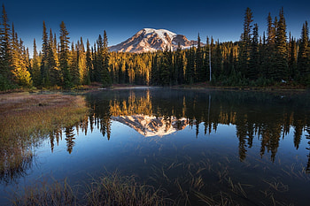 Lake, pine, trees, water, forest HD wallpaper