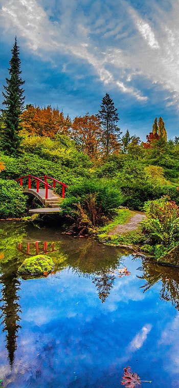 Man-made Japanese garden, Washington State travels HD phone wallpaper