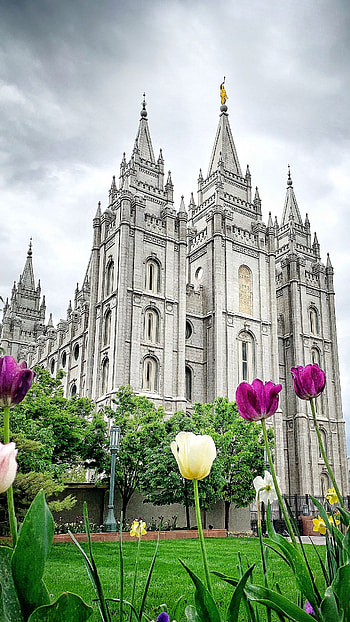 Salt Lake Temple, Temple graphy, Pin, Tower lights HD phone wallpaper