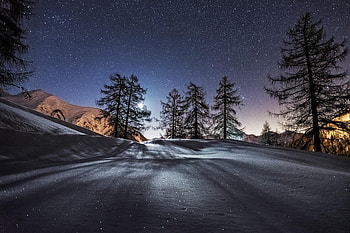 Trees Night Snow Mountains, trees, night, snow, mountains, nature HD wallpaper