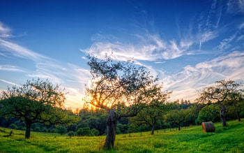 Beautiful Nature, clouds, trees, sky, nature HD wallpaper