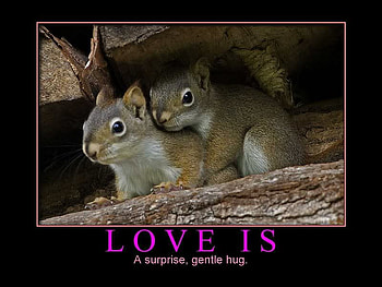 LOVE IS 
