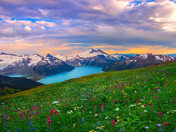 Garibaldi Provincial Park, Canada, snowy peaks, beautiful, British Columbia, wildflowers, lakes, field, clouds, flowers, sky, mountains, sunset HD wallpaper