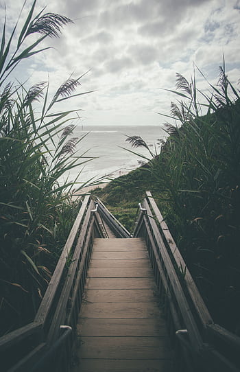 Wooden boardwalk through lush vegetation leading to a serene tropical beach under a cloudy sky. HD phone wallpaper