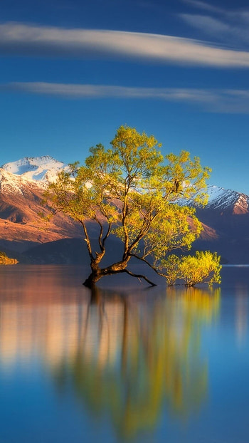 Lake , Nature's beauty, Tranquil retreat, Stunning landscapes HD phone wallpaper