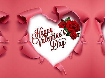 Valentines Day, rose, valentines, love, flower HD wallpaper