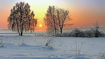 Winter sunrise, winter, horizon, plants, graphy, colors, sunrise, nice, snow, trees, amazing, sun, esome, sunsets, landscape, silhouettes, cold, beautiful, cool, leaf, sky, trunks HD wallpaper
