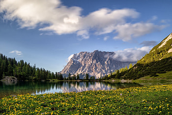 Mountain Landscape, Landscape, grass, Nature, Mountain HD wallpaper