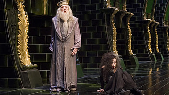 Bellatrix Lestrange, Albus Dumbledore, Harry Potter HD wallpaper
