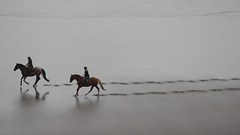 Equitation sports, Riding ultra , , Smart HD wallpaper